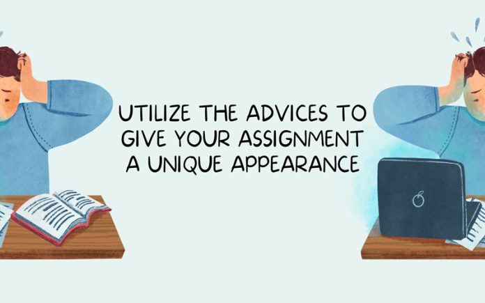 your assignment